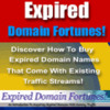 Thumbnail Expired Domain Fortunes-Expired Domains With High Traffic